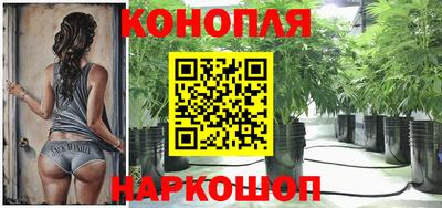 СК Краснодар