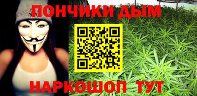 шишки Краснознаменск