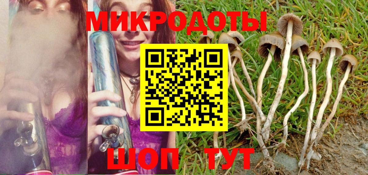 Дедовск  Галлюциногенные грибы Psilocybe  Вход с VPN 